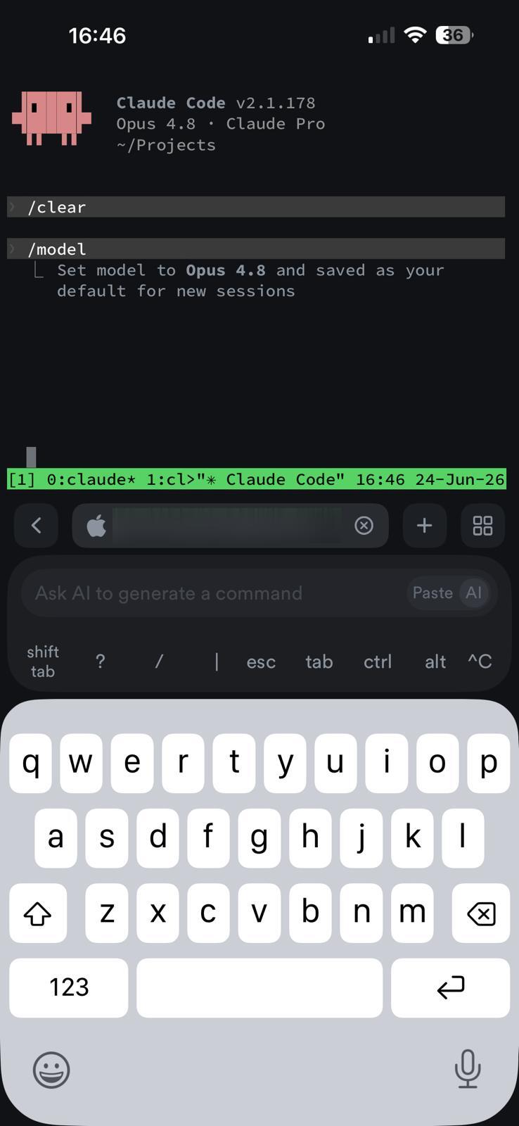 Claude Code running in Termius on the iPhone